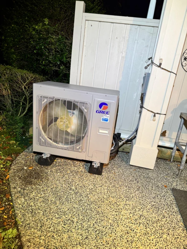 Dual Fuel Heat Pump In Surrey Area 24